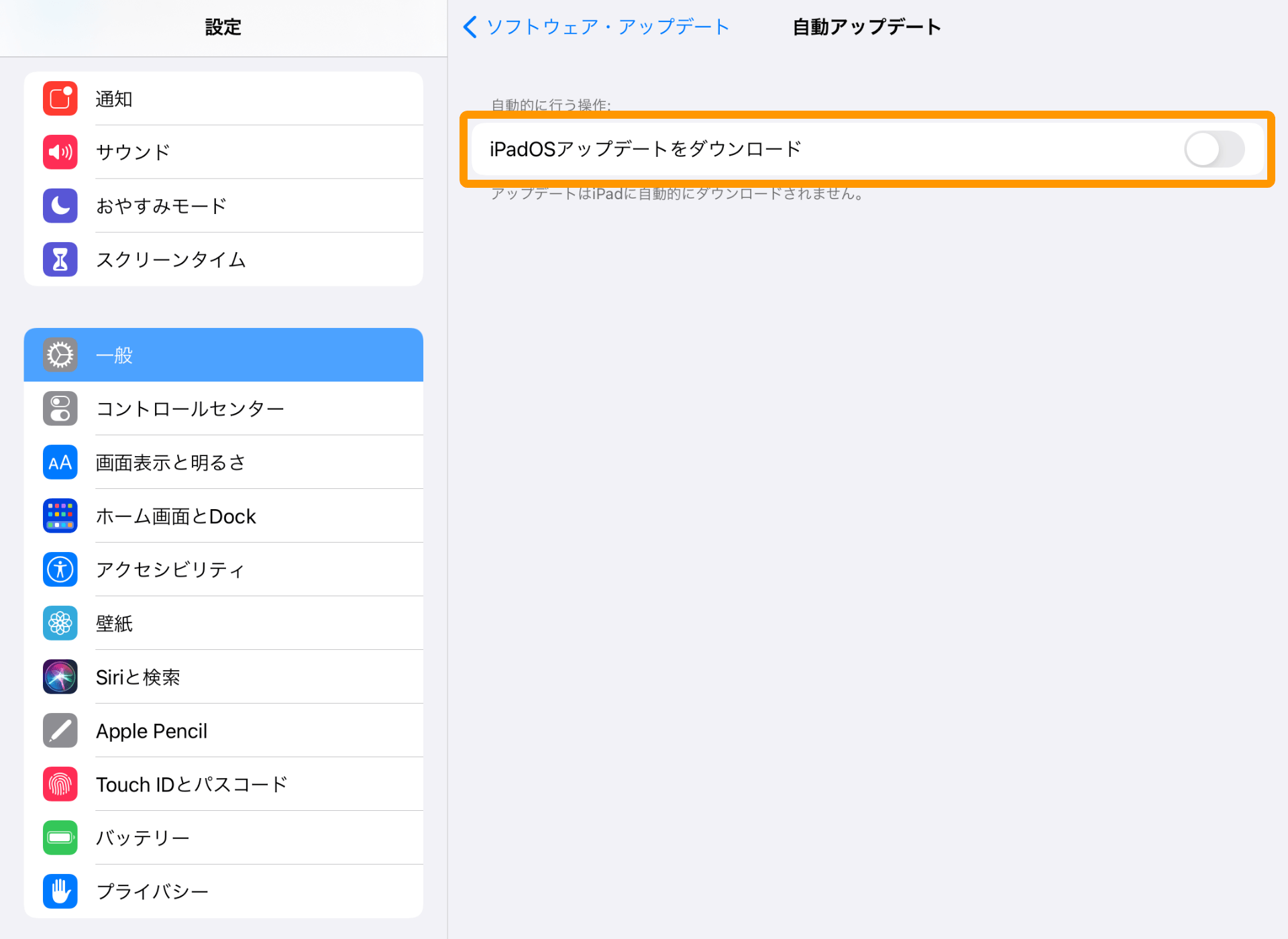 iPad 設定 一般 自動アップデート